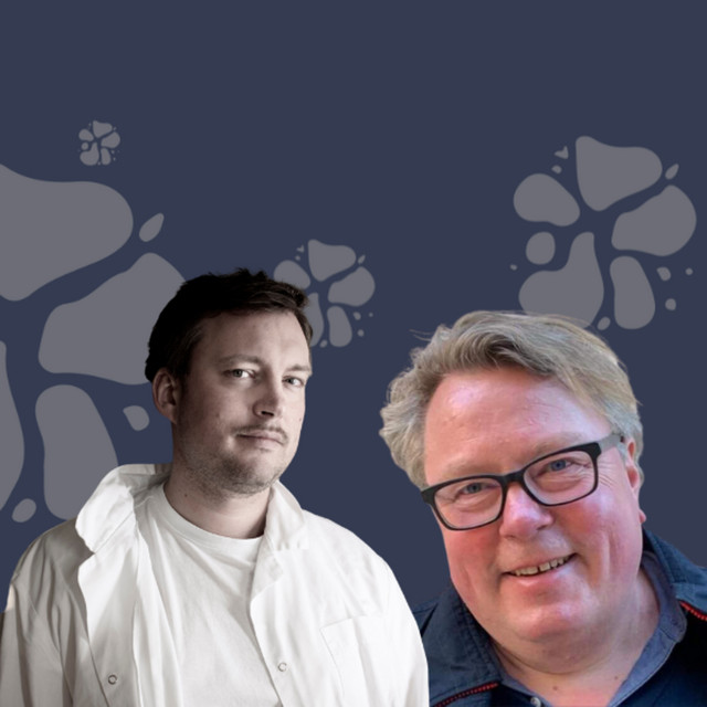 Thorbjørnrud Ysteri. De startet med et tomt basseng, og har nå tre fulle fjøs…